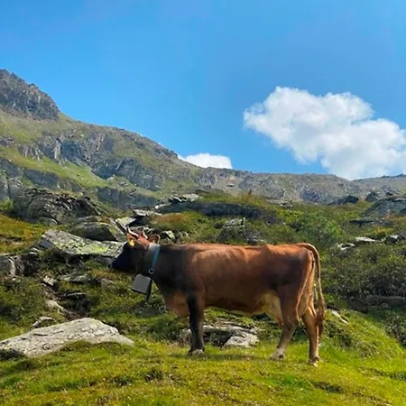 Apartament Haus Dora 1 Filzenkogel