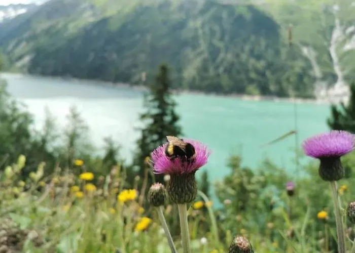 Daire Haus Dora 1 Filzenkogel