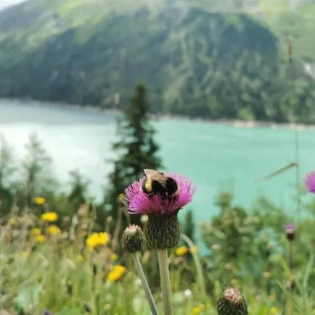 아파트 Haus Dora 1 Filzenkogel